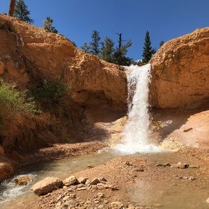 Meet your Posher, Molly